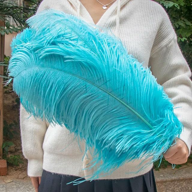 TUITA 10pcs White Large Ostrich Feather 15-55cm for Wedding Party Carnival Decoration Natural Ostrich Feathers Crafts DIY Accessories