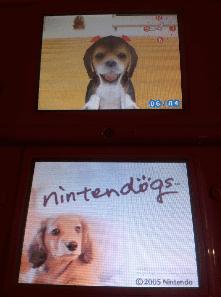nintendogs ダックス&フレンズ o7r6kf1 Amazon.com: Nintendogs - Dachs & Friends [Japan Import] : Video Games