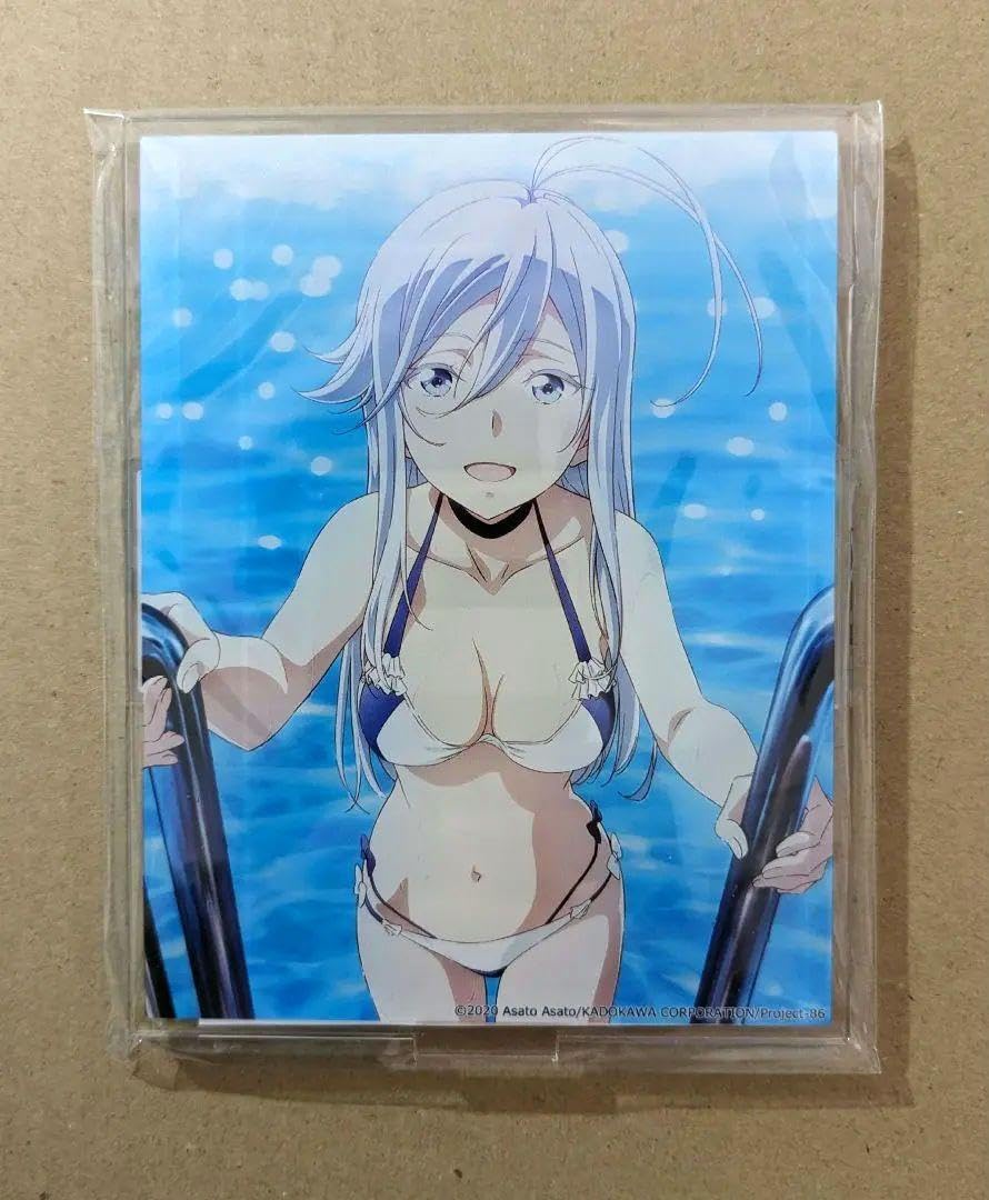 : 86?エイティシックス? ヴラディレーナミリーゼ アクリル