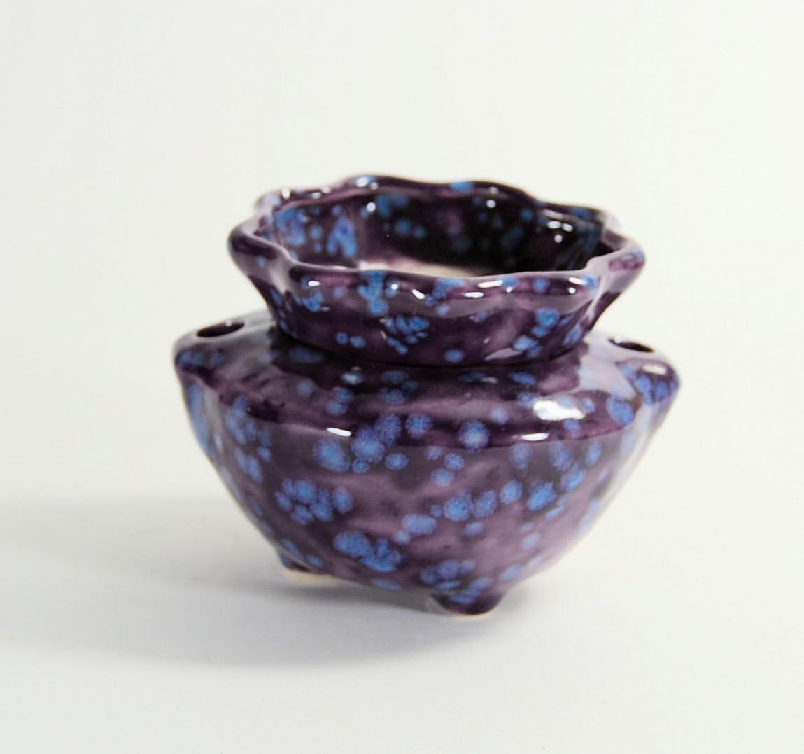 Miniature Tiny African Violet Pot Grape Splash