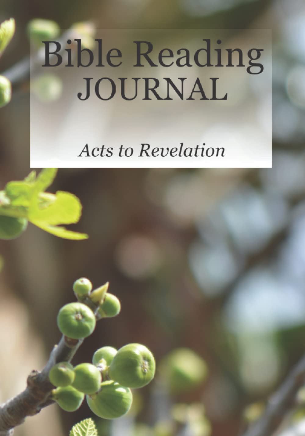 Bible Reading Journal: Acts to Revelation