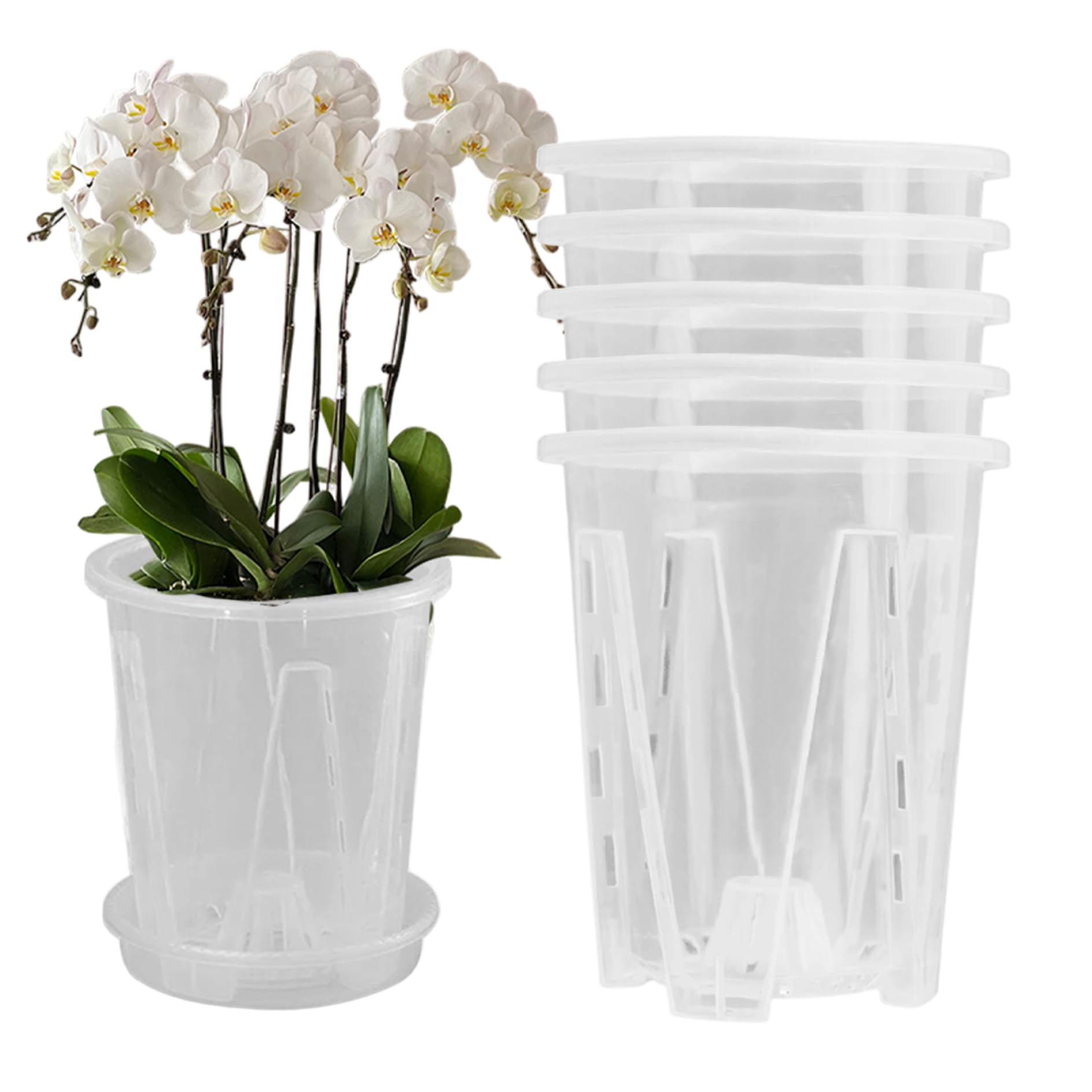 Takingup Orchid Pot with Saucers 5 Sets 4.7In Ventilated Transparent Orchid Planter with Drainage Holes Clear Pots for Plants Clear Pots with Drainage