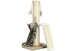 Amazingly Cat Scratching Post for Your Little Buddies