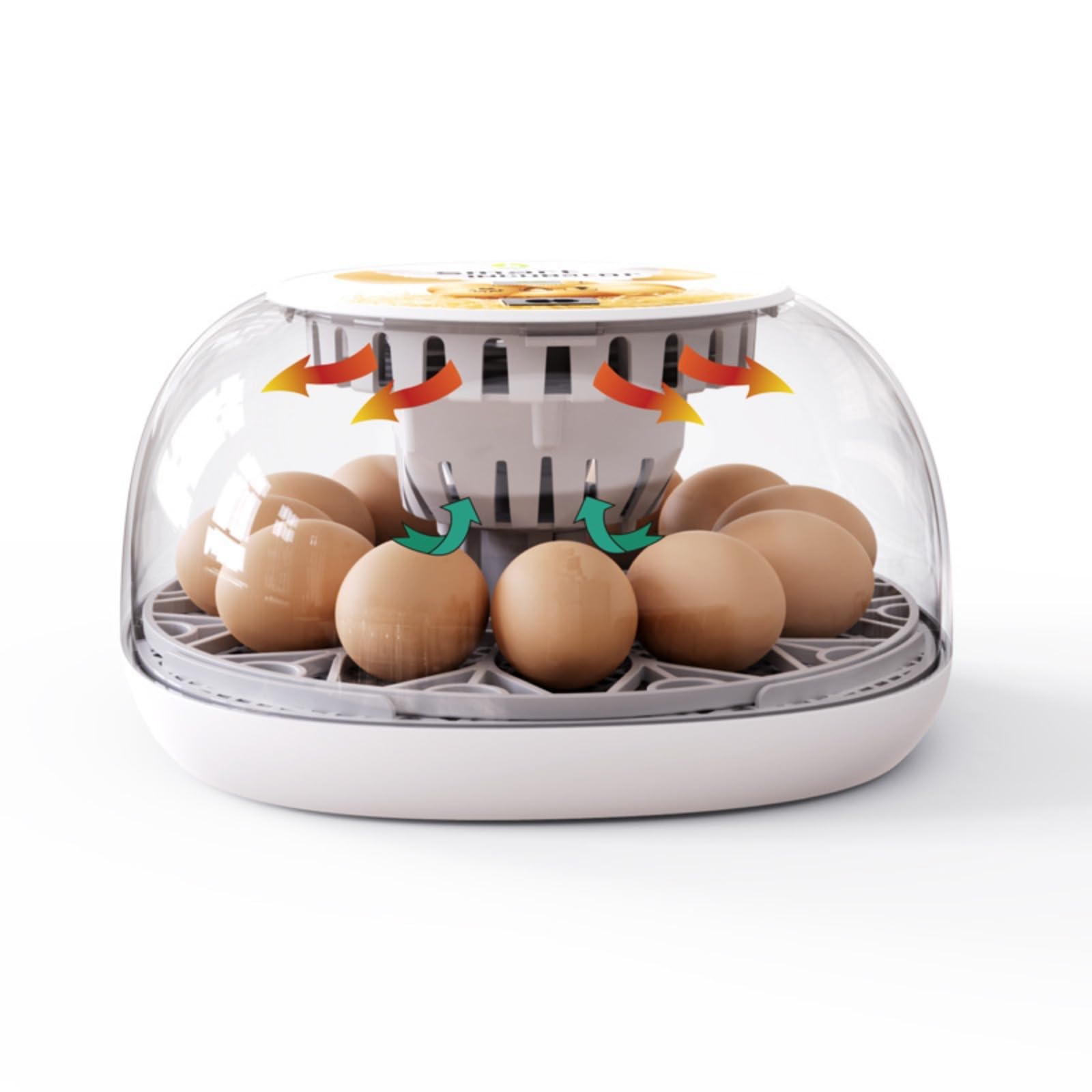 Incubatrice Automatica per Uova 12 Pezzi, Incubatrice Domestica Intelligente con Aggiunta d'Acqua Automatica, Controllo della Temperatura, Visiva, per Polli, Anatre, Oche e Uova di Piccoli Animali