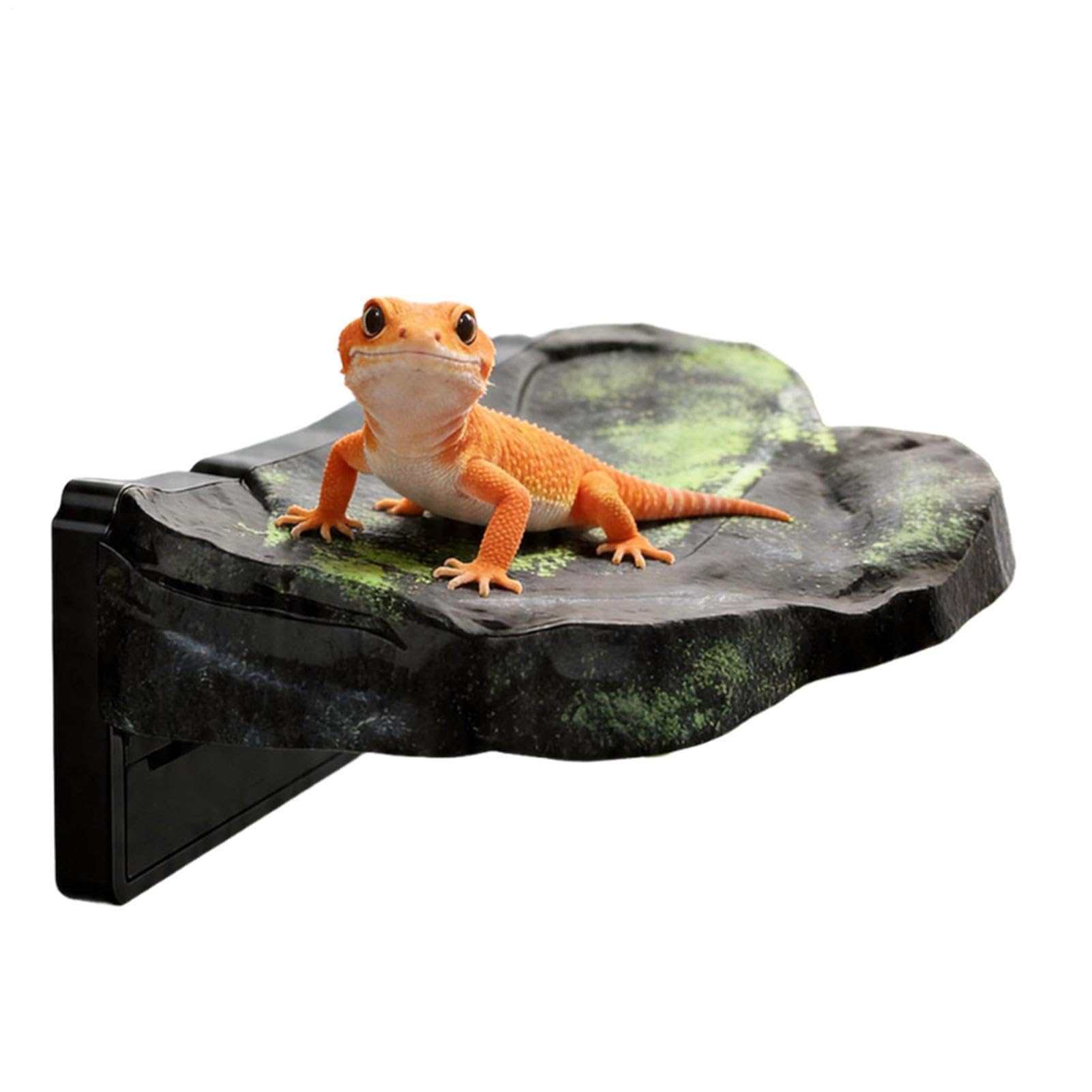 Rebord d'escalade pour reptiles décor schiste magnétique