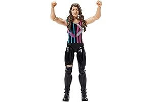 Incredibly detailed Nikki Cross action figure