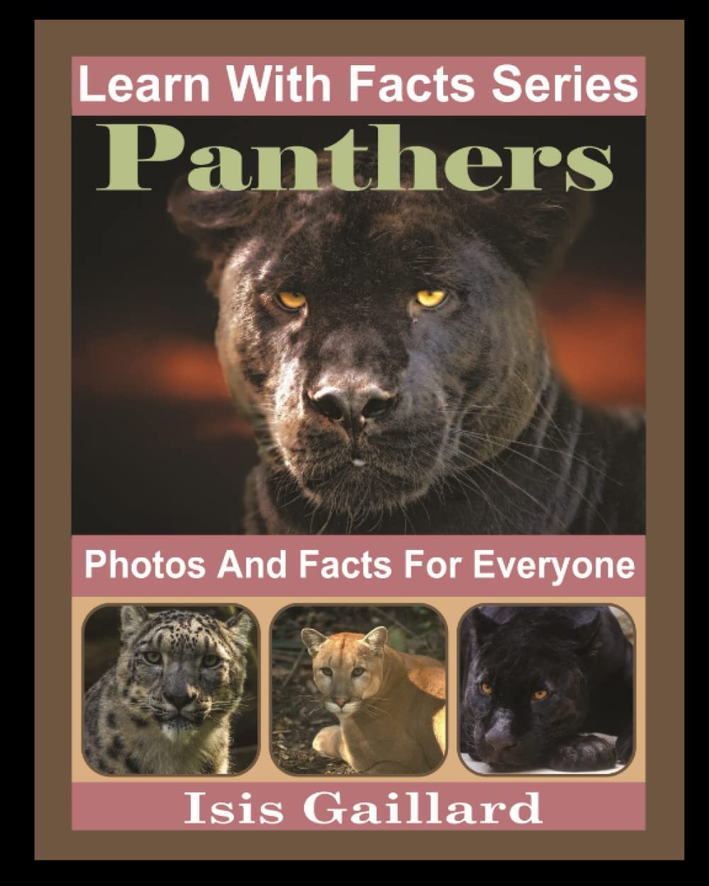 Panthers Photos and Facts for Everyone: Animals in Nature (Learn With Facts Series)