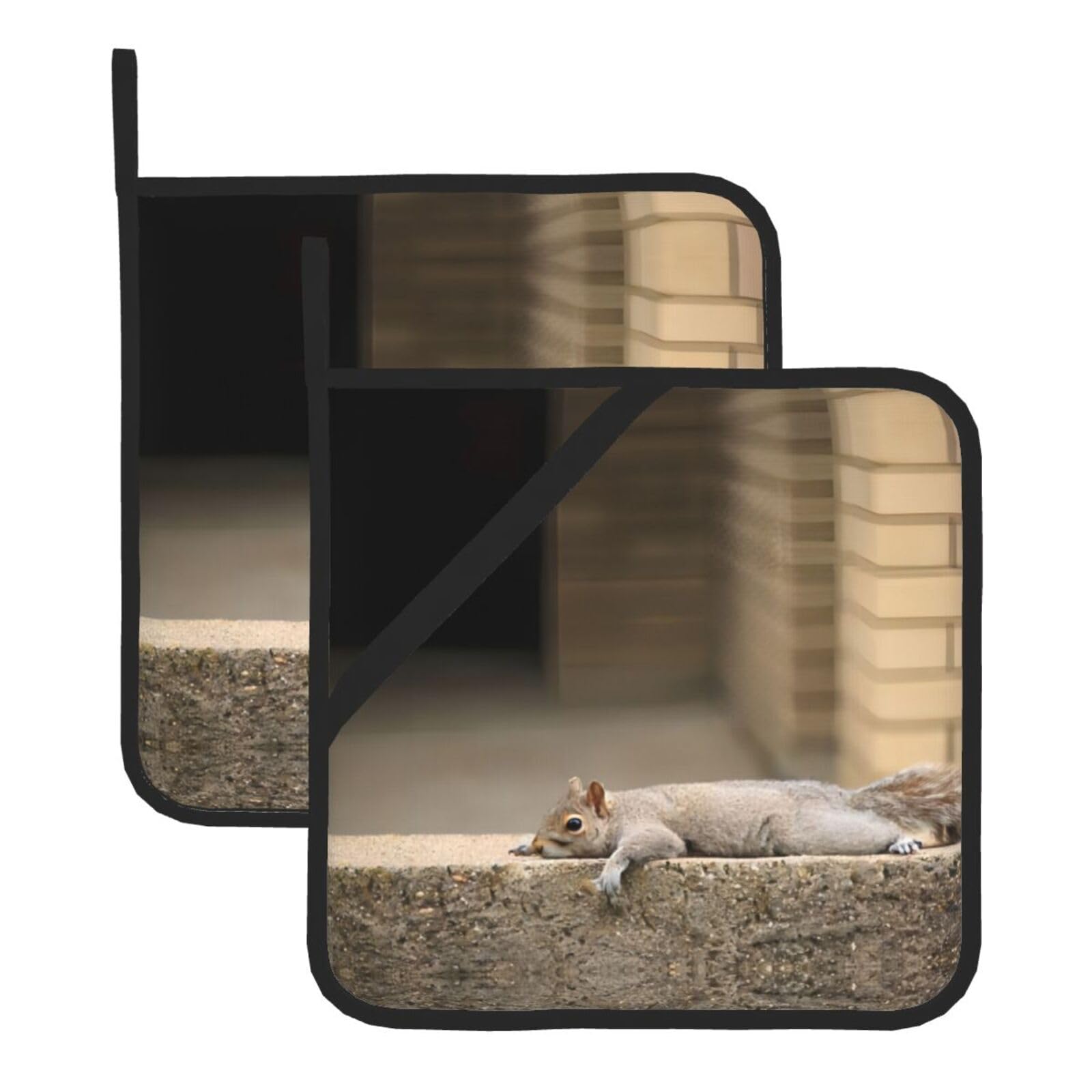 WHJSSF Squirrel Just Laying Prints Square Pot Holders - Heat Resistant Kitchen Trivets 2-Pack - Waterproof Covers for Hot Dishes, Oven & Grill with Hanging Loop