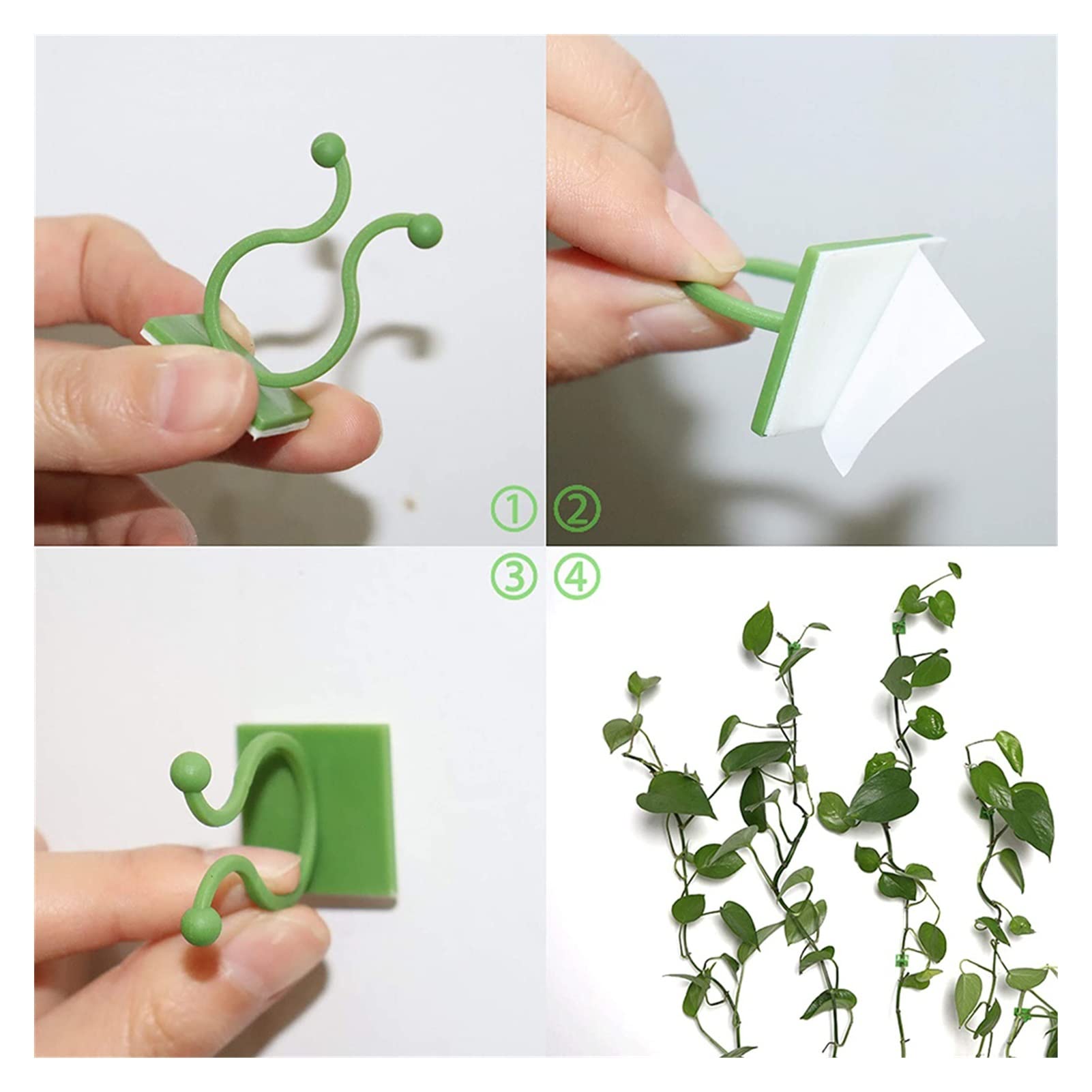 Pflanzen Wandclips 30 Stück - Kletterpflanzen Halter Für Innen & Außen