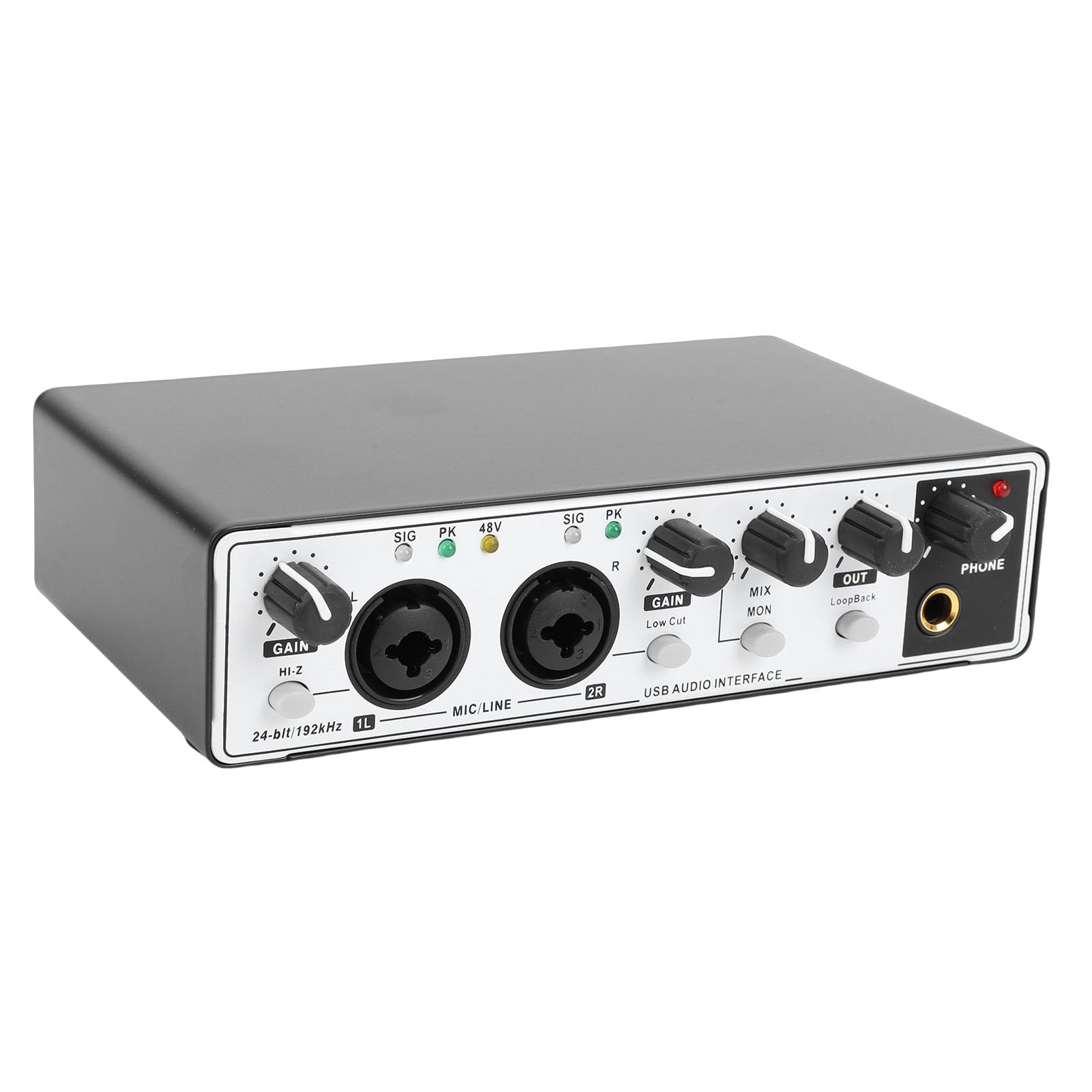 Annadue Interfaz de Audio USB C para Grabación, Streaming y Podcasting con 2 Entradas XLR/TRS, 24 Bits/192 KHz, Alimentación Fantasma de 48 V (blanco negro)