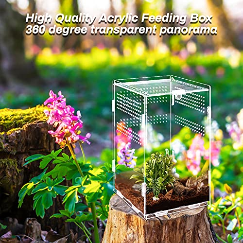 Anpress Acrylic Reptile Terrarium, 4.7''x4.7''x7.8'' Micro Transparent Habitat Terrariums Reptiles Tarantulas Cage Mini Enclosure Feeding Breeding Box with Cover for Animals Insects - Image 6