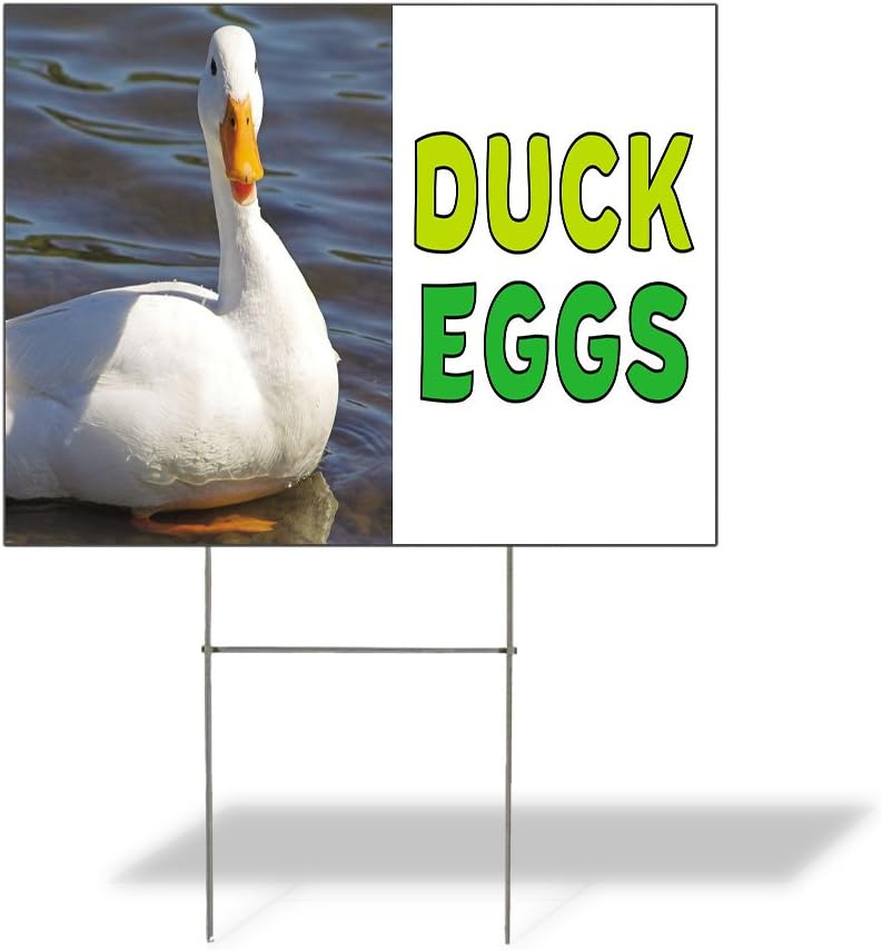 Weatherproof Yard Sign Duck Eggs Outdoor Advertising Printing White Lawn Garden Farmers Market 18x12 Inches 2 Sides Print