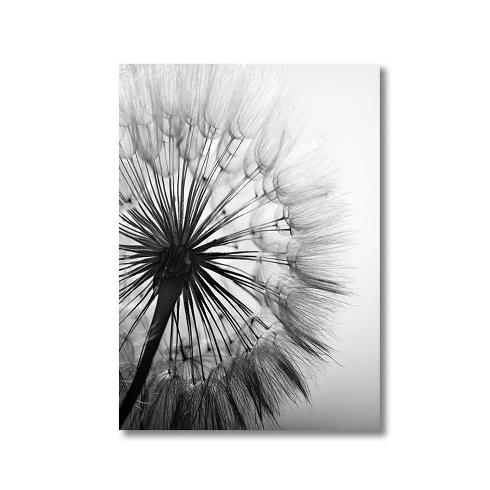 Peinture de fleurs de pissenlit sur toile d'art mural haut de gamme
