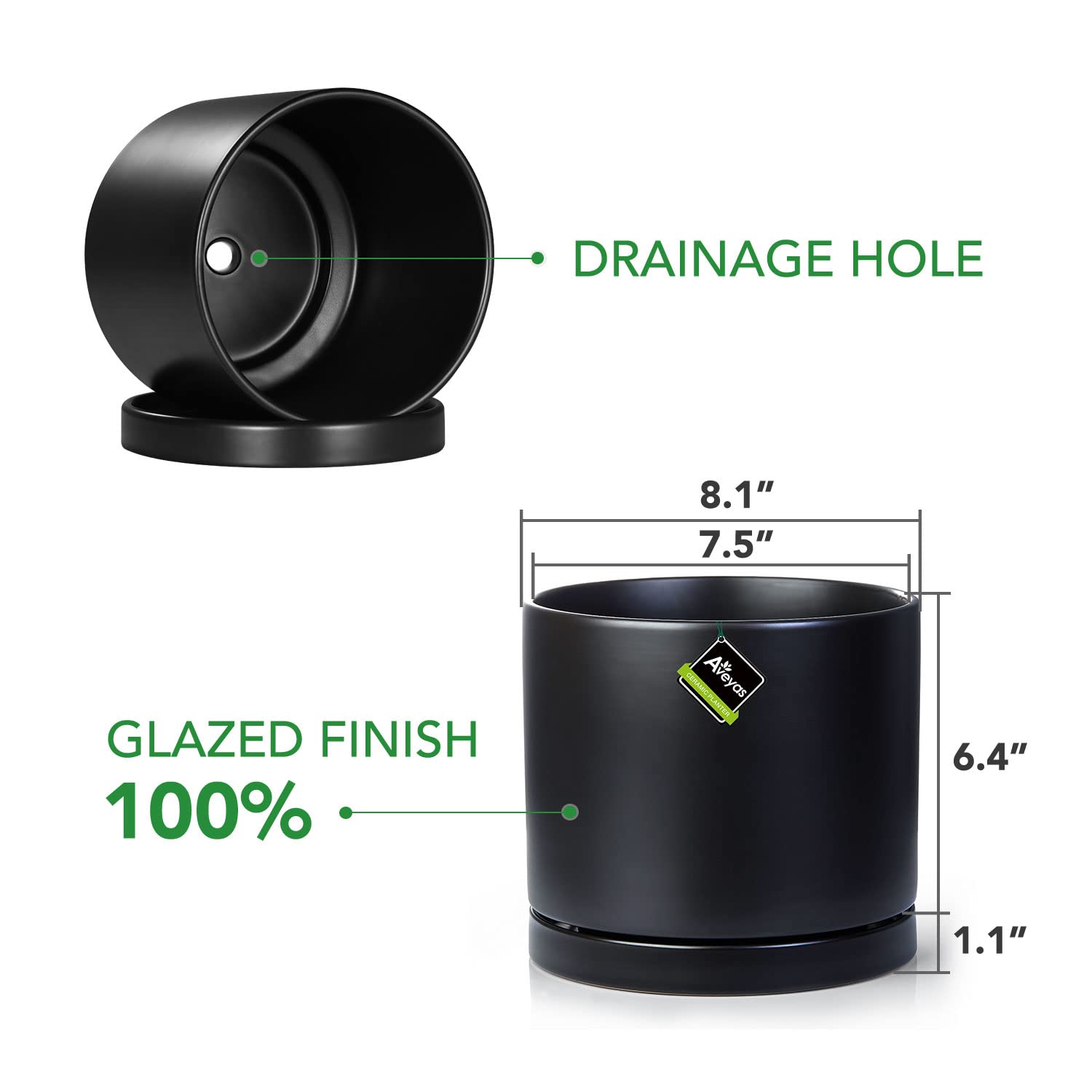 https://m.media-amazon.com/images/I/61IgOFDnKRL.jpg