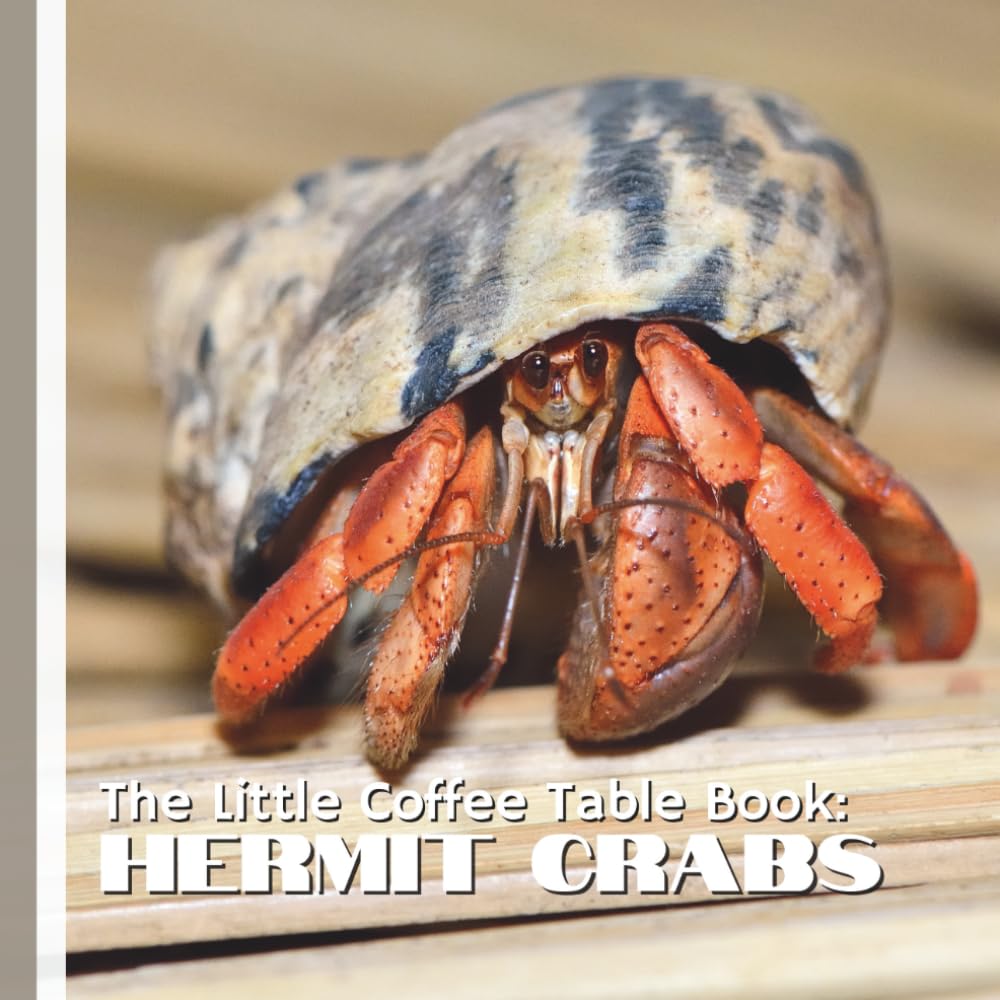 The Little Coffee Table Book: Hermit Crabs: 75 captivating facts that explore the world of hermit crabs—from their shell-swapping adventures and ... behavior and vital role in the ecosystem.
