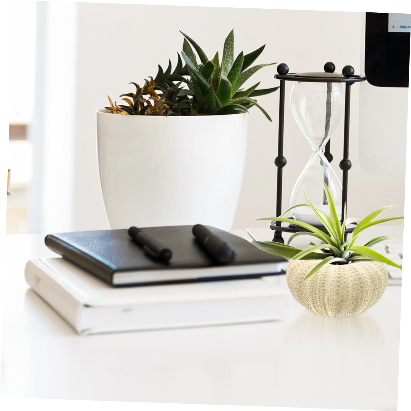 OUNONA 4 Ensembles Pots À Plantes Aériennes Décorations pour Aquarium Et Plantes Naturelles 6 Pièces * 4