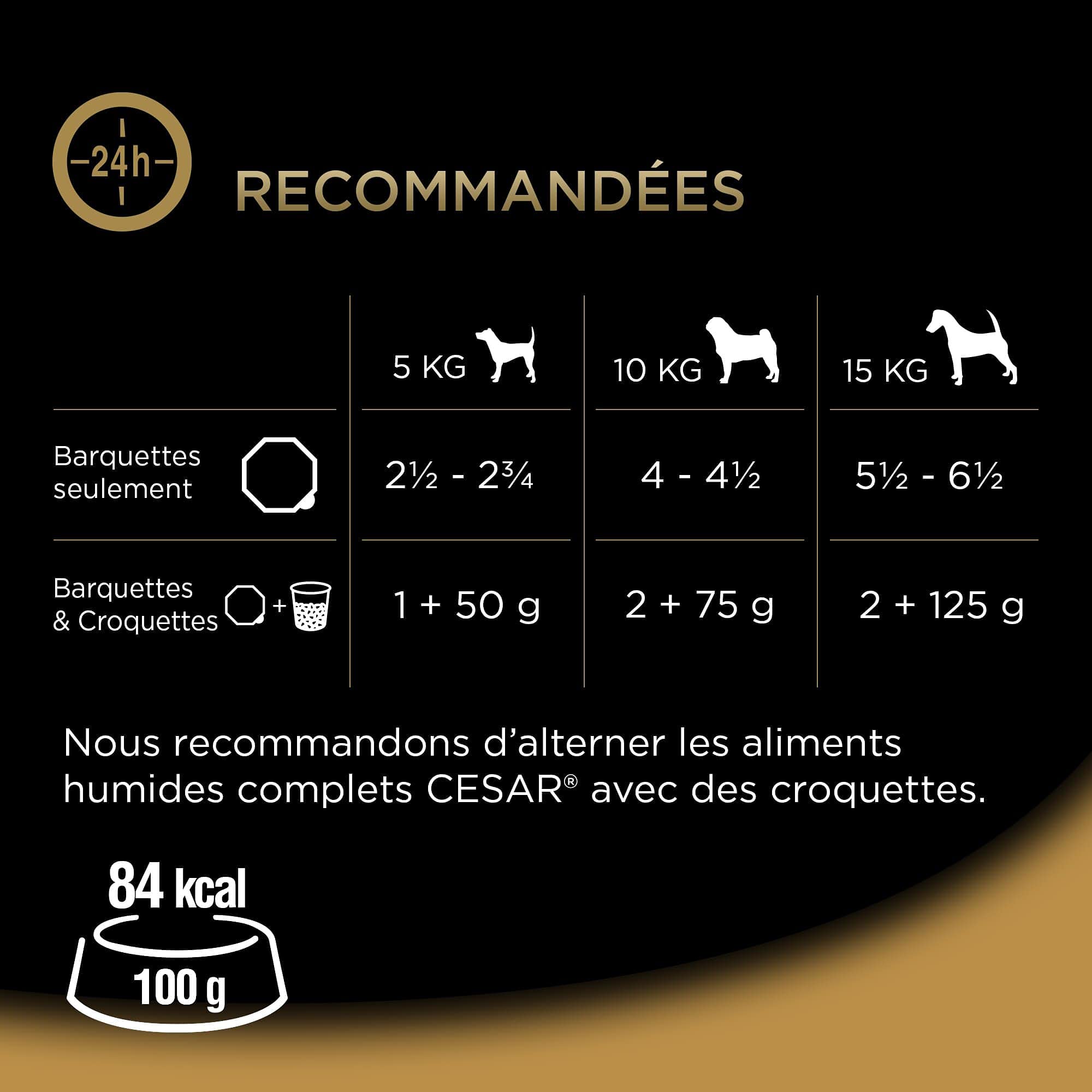 CESAR Pasto per cani – 24 vassoi (set di 3 confezioni 8 x 150 g) – Pasta per cani in salsa – manzo/pollo/agnello/tacchino – Cibo completo ed equilibrato con ingredienti naturali