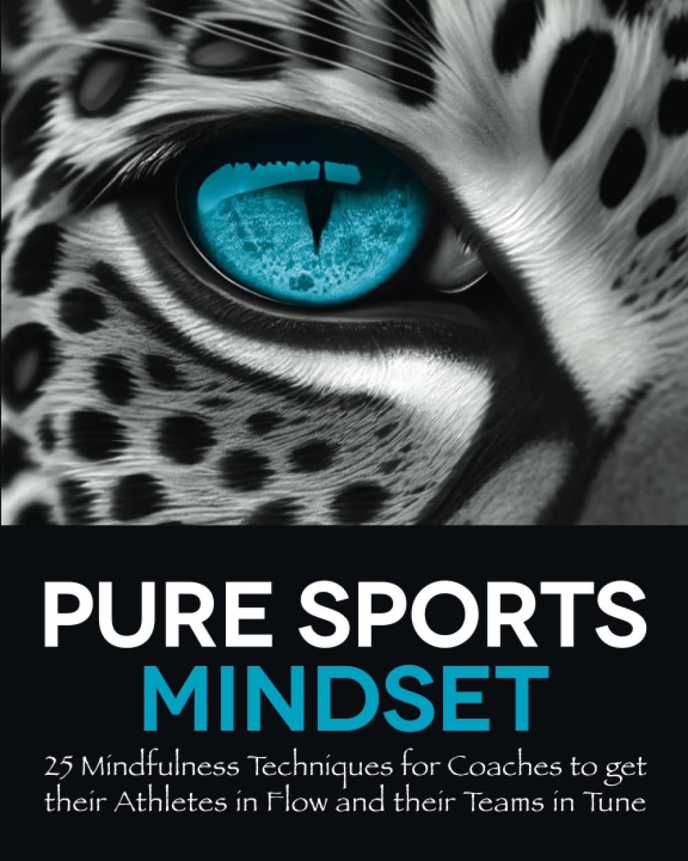 Pure Sports Mindset: 25 Mindfulness Techniques for Coaches to get their Athletes in Flow and their Teams in Tune