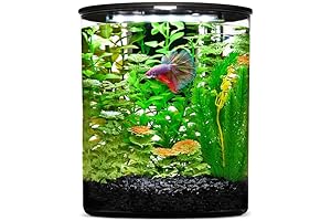Imagitarium 2.5 Gallon Cylinder Aquarium