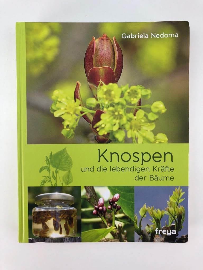 Knospen: und die lebendigen Kräfte der Bäume