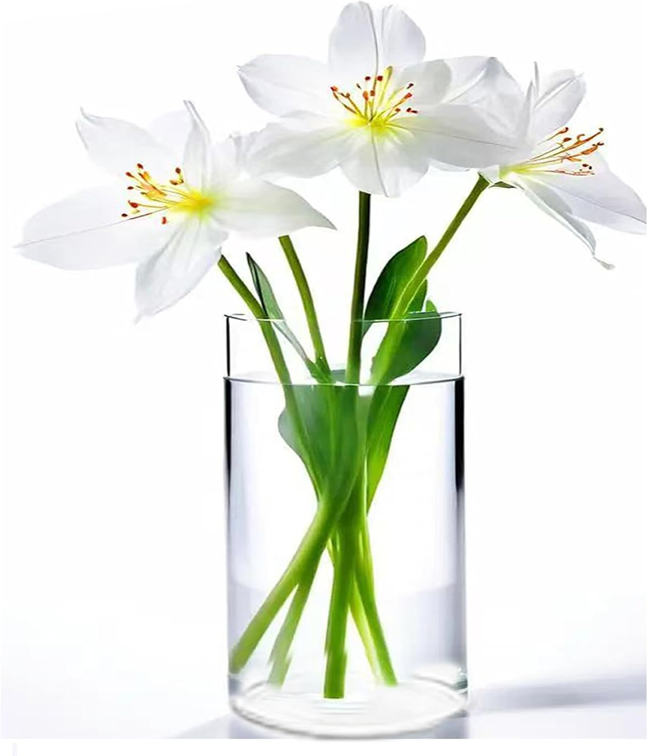 Acrylic Cylinder Clear Vase Plastic Hurricane Flower Vases Round Glass Pot Container for Display Decor Tulips Wide Wedding Party, Home Table, Centerpieces, Shatter-Proof 6x12''(H)