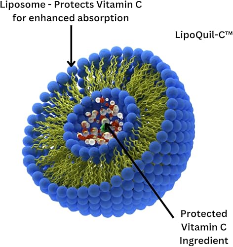 Miniatura 5 de Suplemento de vitamina C liposomal  Tecnología de absorción mejorada LipoQuil-C  120 cápsulas 1000 mg de alta dosis soluble en grasa Vita C  Apoyo