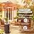 DIAMONDFORGE 50,000 BTU Patio Heater - Propane Patio Heater with Double-Layer Stainless Steel Burner, Space Heater, Outdoor Heaters with Wheels Used for Garden, Patio and Residential, Brown