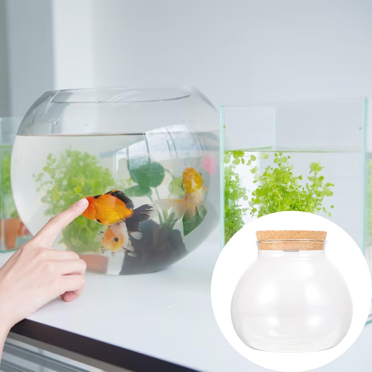 Macetas De Vidrio De Borosilicato Transparente, Jarrón Suculento Hidropónico, Recipiente De Vidrio Musgoso, Decoración De Oficina, Decoración Del Hogar, Contenedor De Paisaje En Miniatura.
