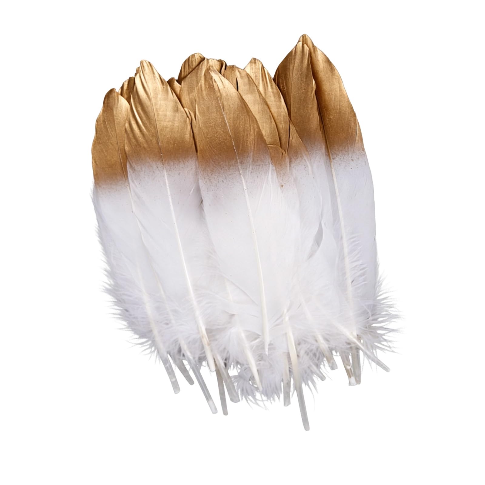 Snorvixre 50Pcs Bright Plumage for Crafting Photography Backdrops and Themed Party Supplies Colorful Craft Quills