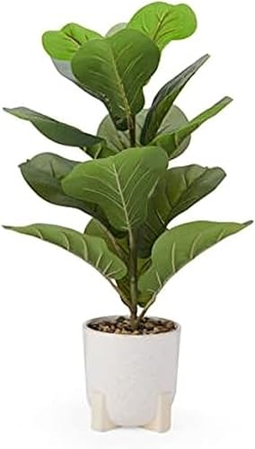 Elements Higo artificial de hoja de violín de 10.63 x 10.63 x 21.26 pulgadas en maceta de cerámica blanca, Ficus Lyrata