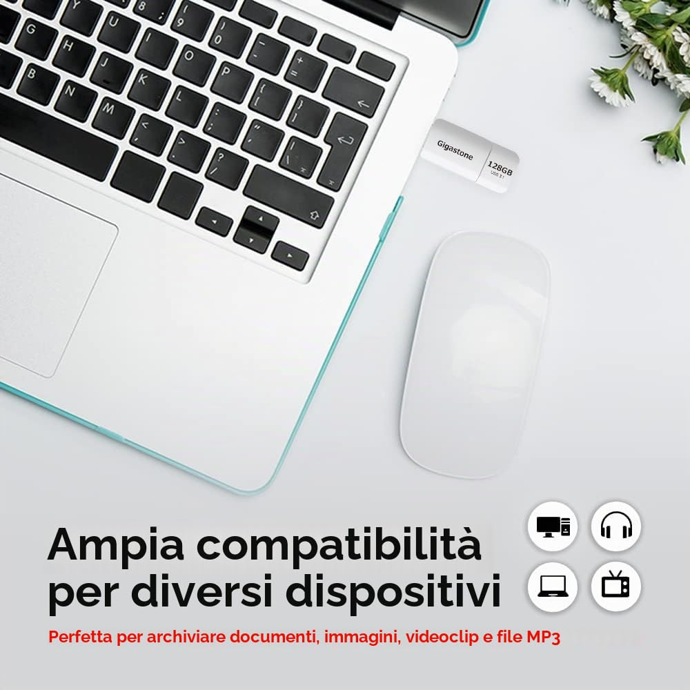 Gigastone Chiavetta USB 128 GB Set da 10, Z60 USB 3.2 Gen 1 Serie, R/W 120/80 MB/s alta velocità, Senza cappuccio con design retrattile, compatibile con interfaccia USB 2.0 / USB 3.0 / USB 3.1