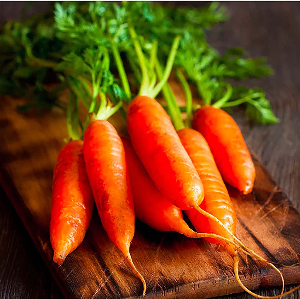 Marde Ross Little Finger Carrot 900 Seeds