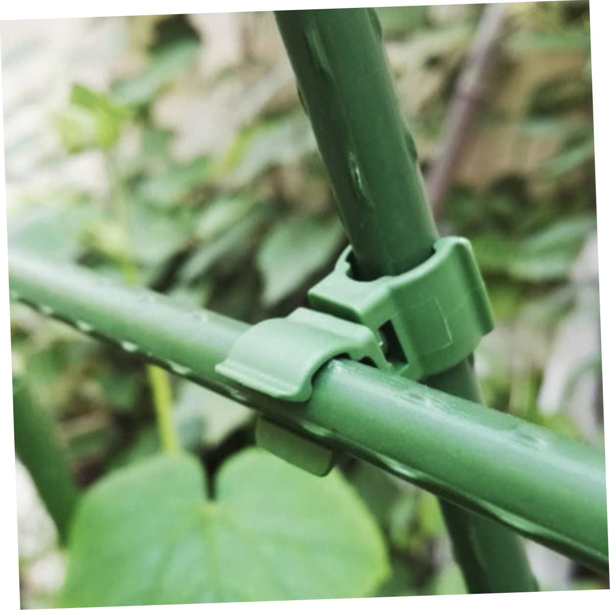 TOYANDONA 3 Sätze Pflanzenverbindungsclips Verstellbare Klammern Für Pflanzenstützen Robuste Und Langlebige Verbinder Für Pflanzenrankhilfen Zu Bedienen Für Gartenarbeiten 50 Stück * 3