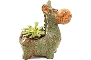 Vintage Ceramic Donkey Planter