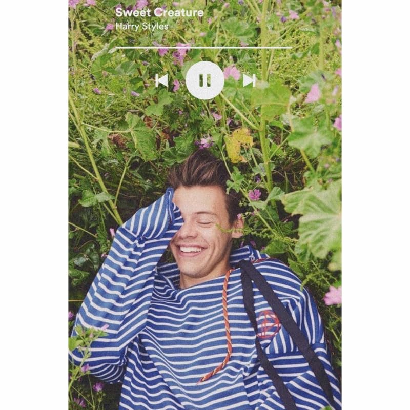 POSTER WALLAH Harry Styles Poster for Home Office and Student Room Wall | Aesthetic Poster | Wall Decor AHS6 (18X12 inch)