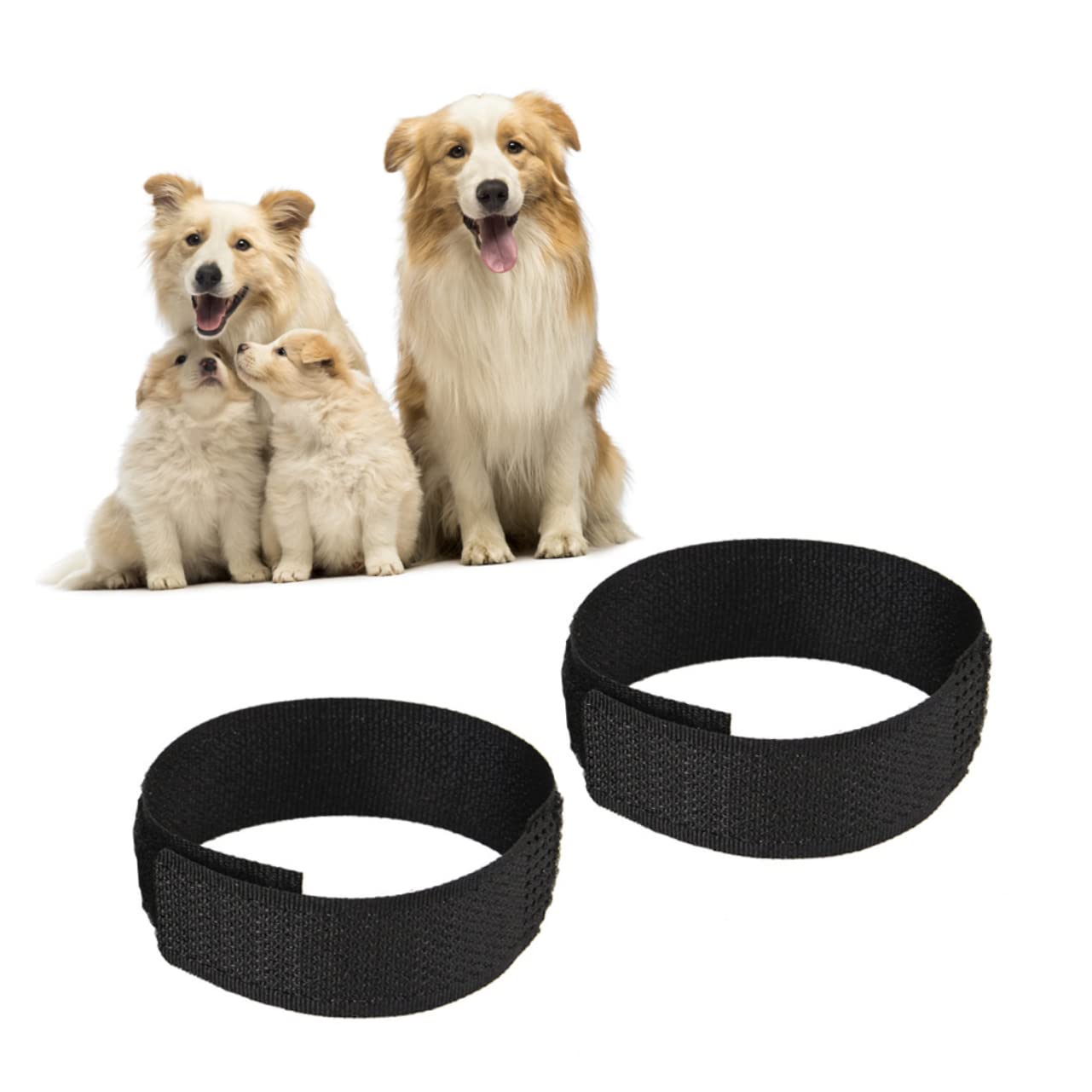 VICASKY Rooster Collar 4 Pack Chicken Collar Pet Necklace Chicken Decor Noise Deterrent