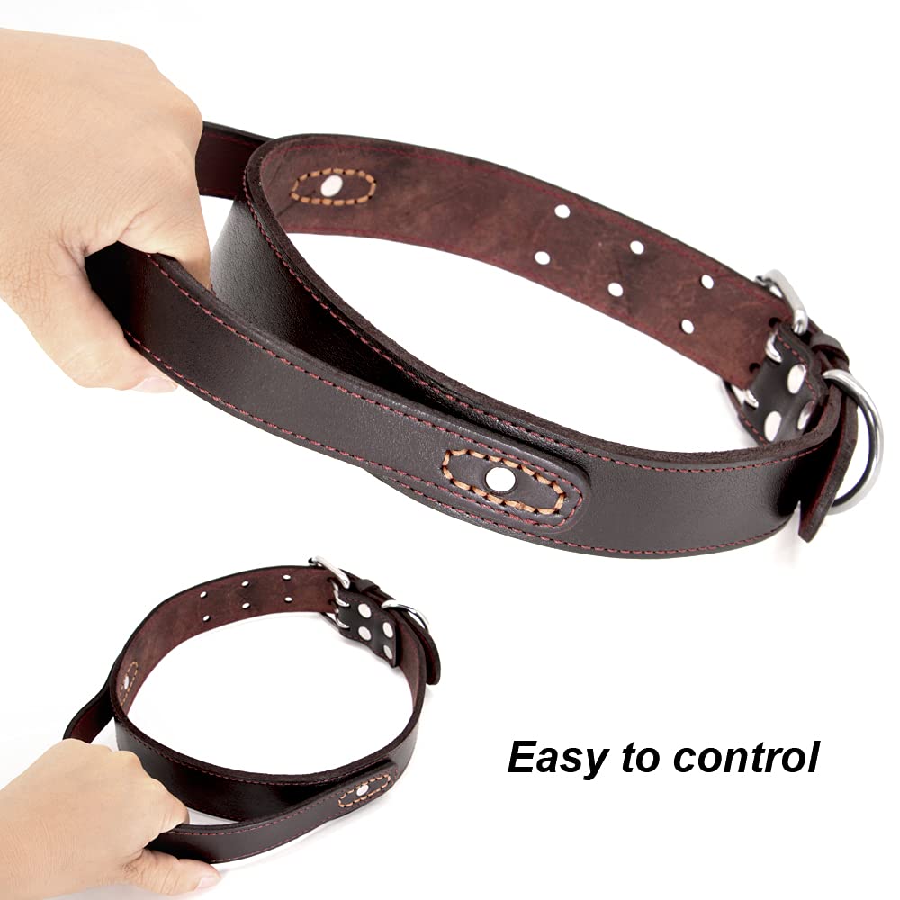 PET ARTIST Collar de perro de cuero genuino con asa resistente para perros medianos y grandes y entrenadores Boxer Doberman Pitbull Bulldog