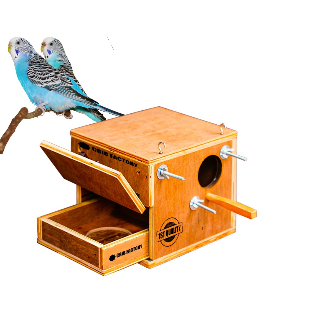 CRIBFACTORY | African Love Birds BREEDING Box with Tray 8 X 8 X 9 INCH Premium Selected Plywood (B0D3LPZ1HT) Amazon Price History, Amazon Price Tracker