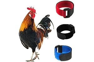 No Crow Rooster Collar, 3 Pack Chicken Collar Anti-Pecking Neckband