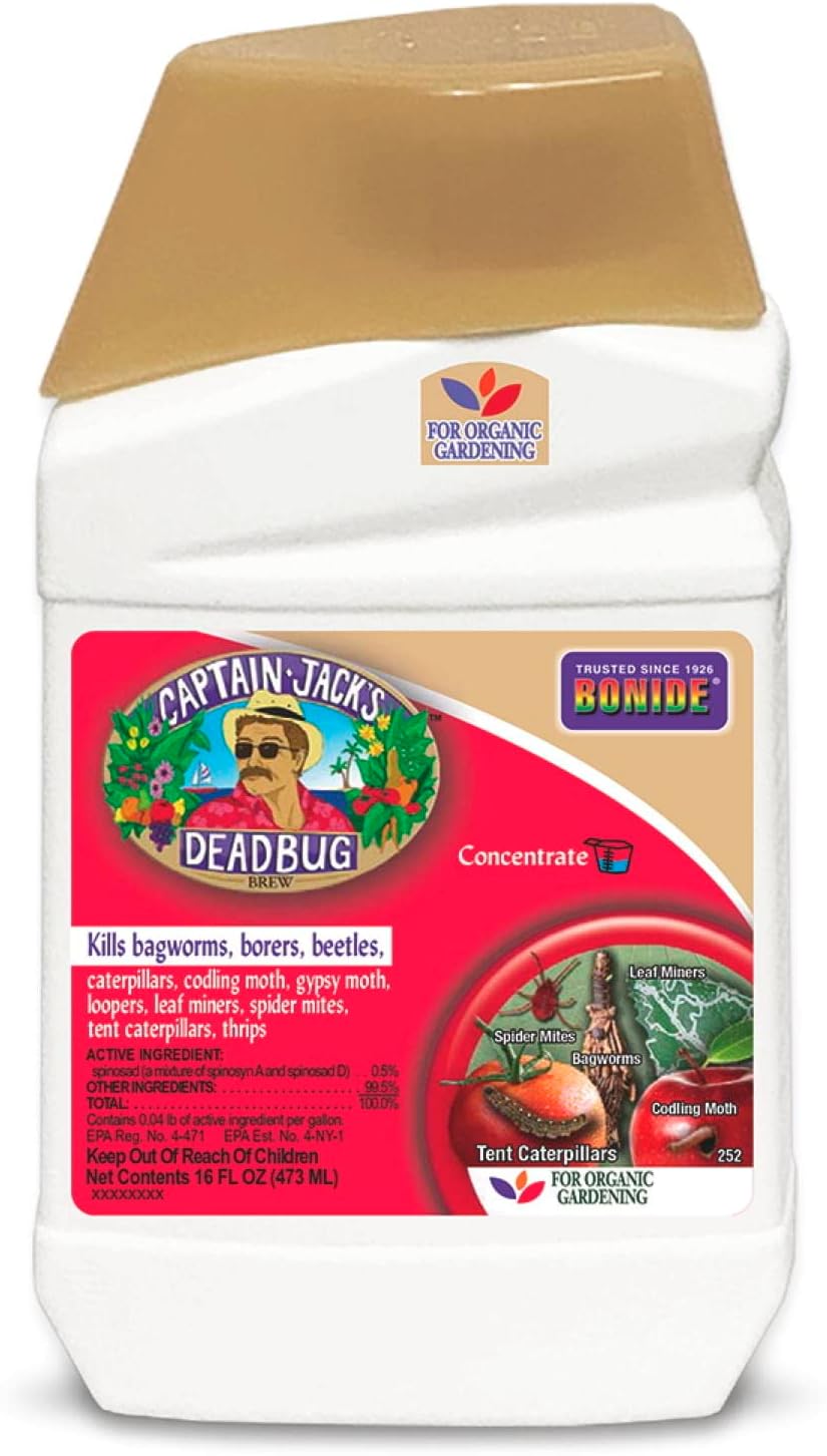 CAPTAIN JACK DEADBUG16OZ