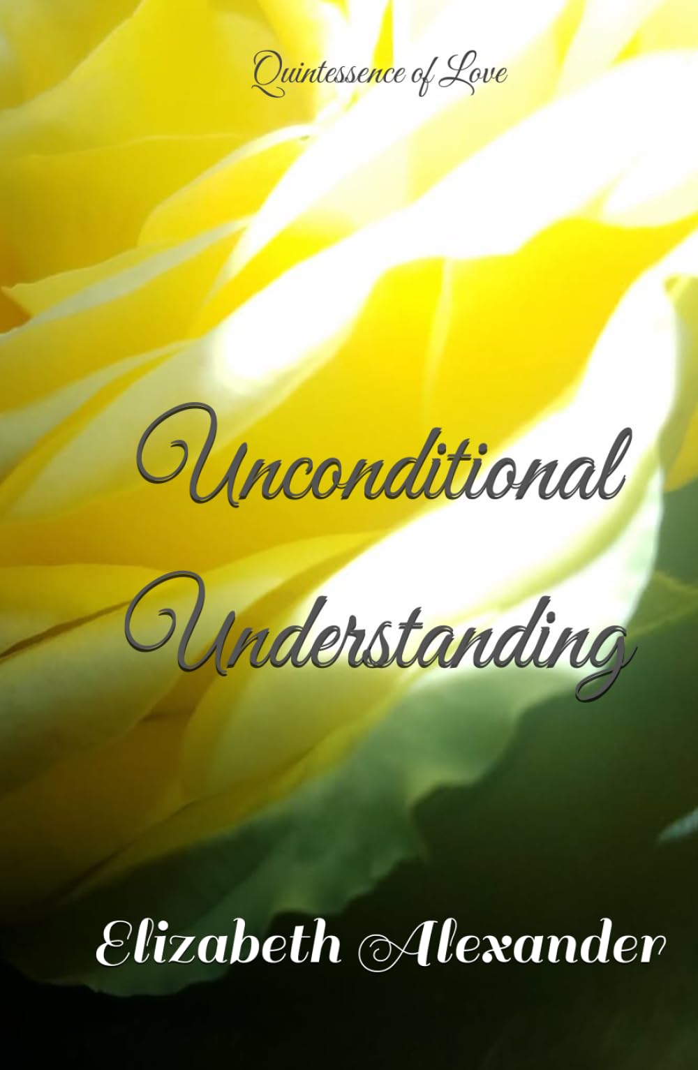 Unconditional Understanding: Quintessence of Love