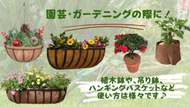 Amazon | Sweet Plus ココナッツマット ココヤシシート ココナッツ