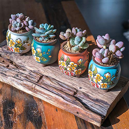 Summer Impressions 3 Inch Hand Painted Succulent Cactus Plant Pot Clay Flower Pot Planter Container Floral Design With Drainage Hole Saucers Pack Of 4 (Pear Blossom) #TOP3