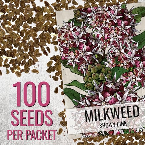 Image of Seed Needs Showy Milkweed Seeds to Attract Monarch Butterflies 1 Pack