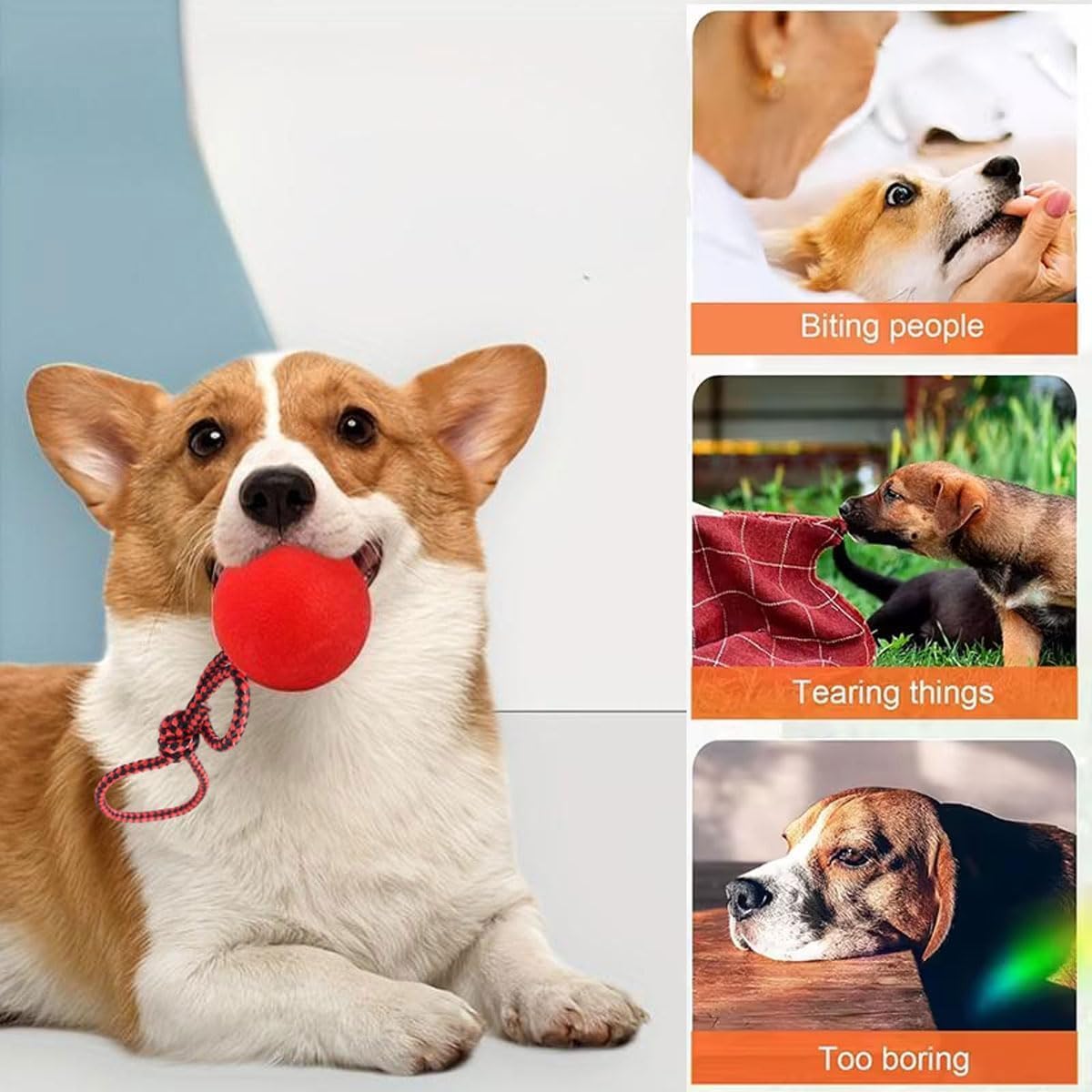 4 Pezzi PallaperCani con Corda,PallaperCane con Corda,Palla da Addestramento Cani e Catti,Pallina in Gomma Naturale,Adatto per l'addestramento e l'allevamento di animali domestici