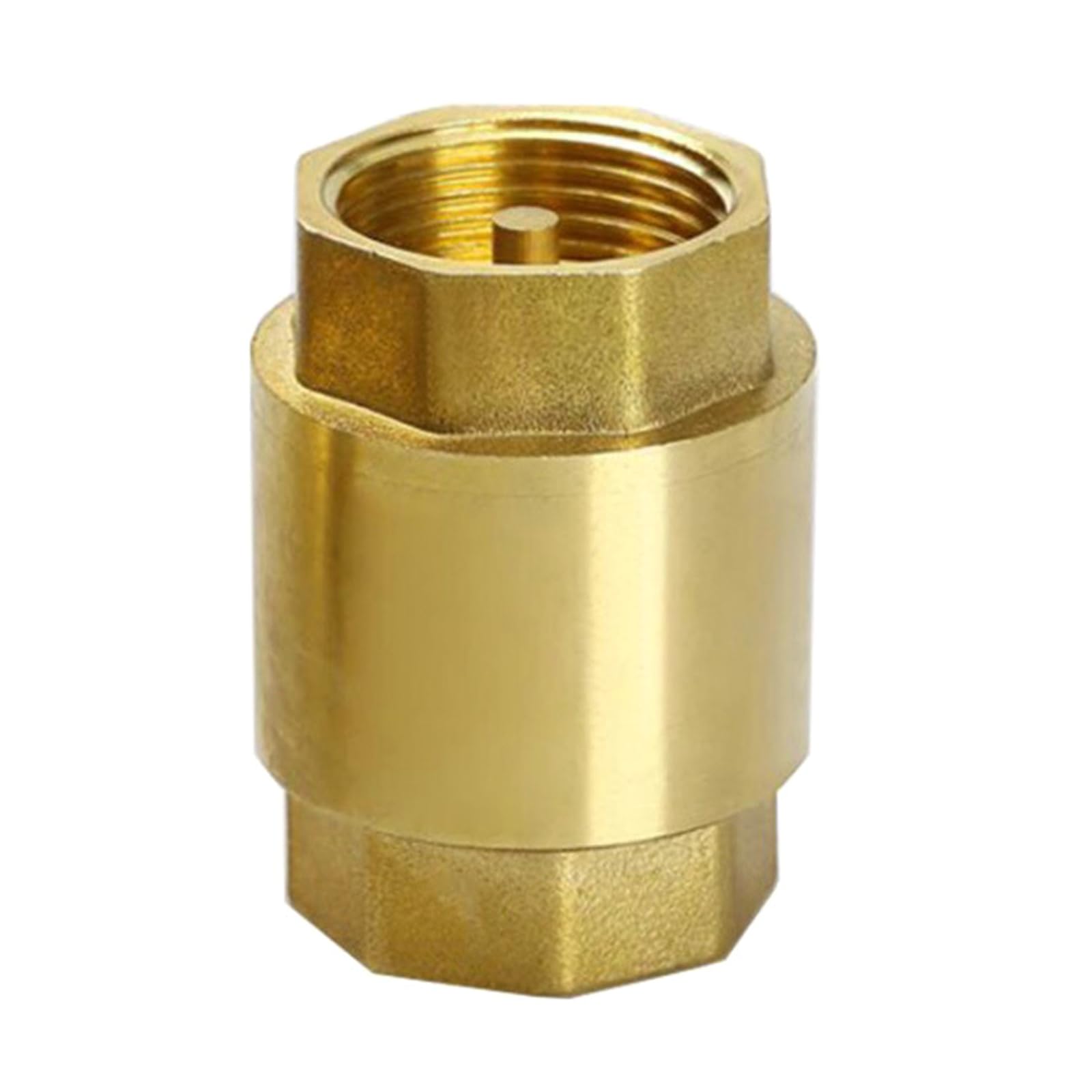 Check Valves Spring Check Valves Vertical Backflow Preventer 1Inch for Fountain Suction Hose Washing Backflow Preventer