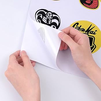 61IhbOHivXL._AC_UF350,