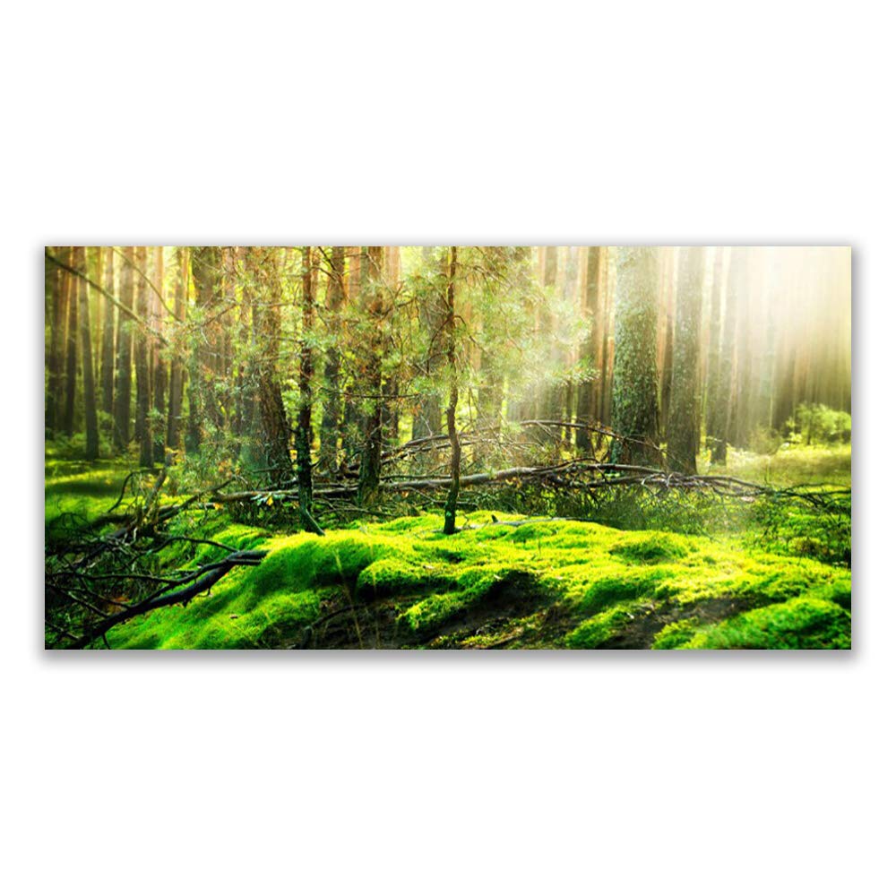 Tableau moderne verre trempé 120x60cm Tulup décoration murale nature motif mousse forêt
