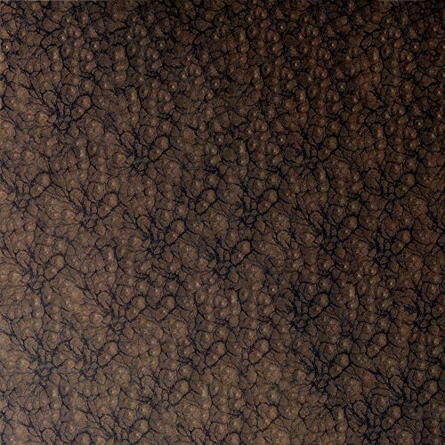 Image of Rust-Oleum 271480-2PK Universal All Surface Forged Hammered Spray Paint, 12 oz, Burnished Amber, 2 Pack
