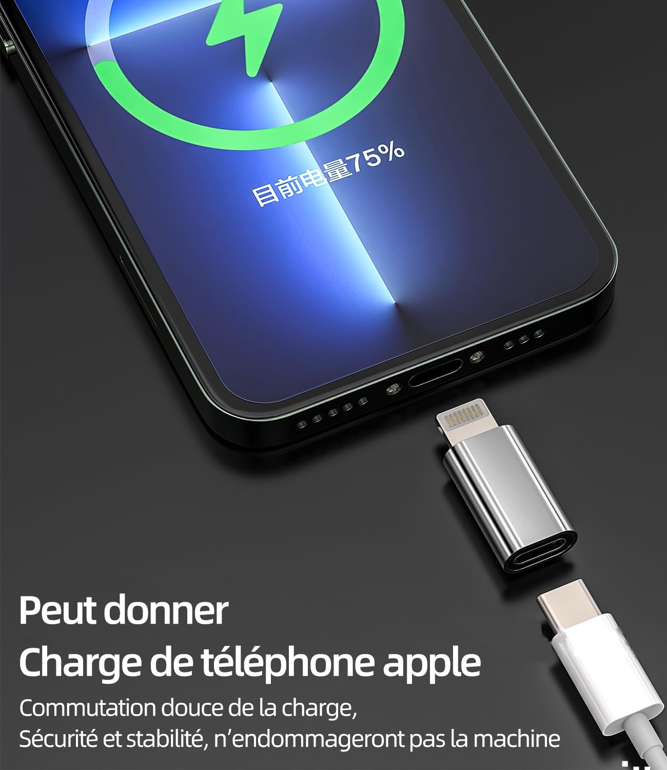 Apple Adattatore da USB-C a lightning | Cavi e connettori in